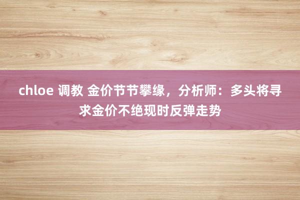 chloe 调教 金价节节攀缘，分析师：多头将寻求金价不绝现时反弹走势