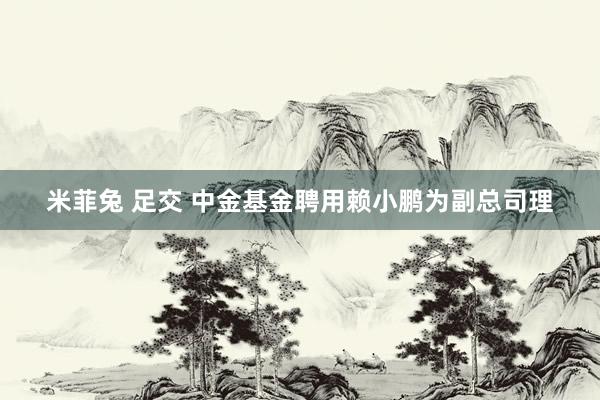 米菲兔 足交 中金基金聘用赖小鹏为副总司理