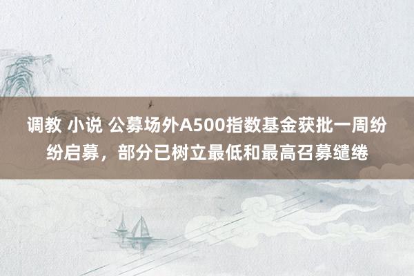 调教 小说 公募场外A500指数基金获批一周纷纷启募，部分已树立最低和最高召募缱绻
