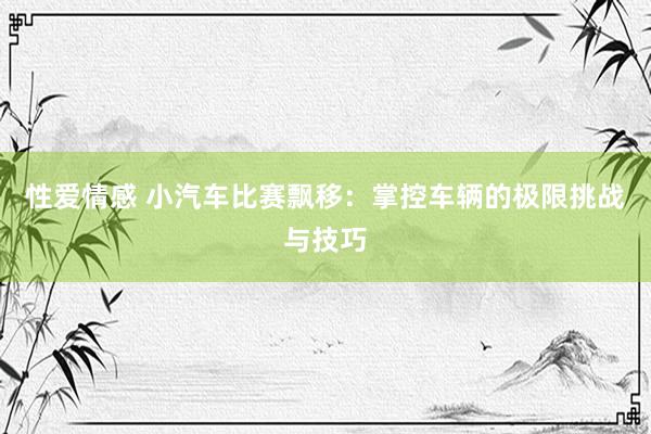 性爱情感 小汽车比赛飘移：掌控车辆的极限挑战与技巧