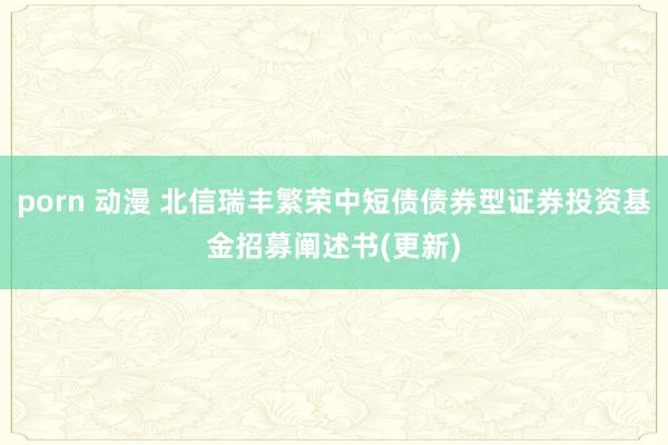 porn 动漫 北信瑞丰繁荣中短债债券型证券投资基金招募阐述书(更新)