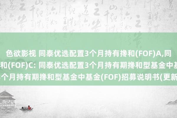 色欲影视 同泰优选配置3个月持有搀和(FOF)A,同泰优选配置3个月持有搀和(FOF)C: 同泰优选配置3个月持有期搀和型基金中基金(FOF)招募说明书(更新)