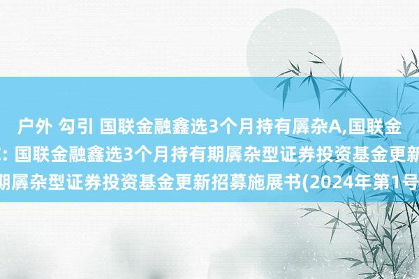 户外 勾引 国联金融鑫选3个月持有羼杂A,国联金融鑫选3个月持有羼杂C: 国联金融鑫选3个月持有期羼杂型证券投资基金更新招募施展书(2024年第1号)