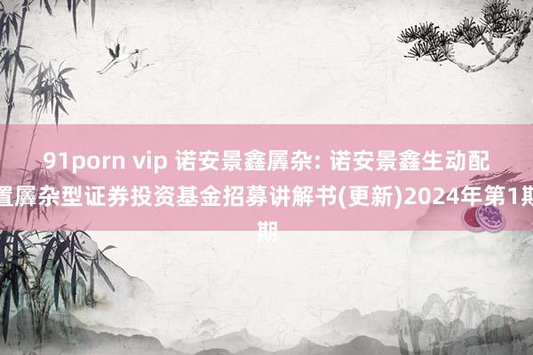 91porn vip 诺安景鑫羼杂: 诺安景鑫生动配置羼杂型证券投资基金招募讲解书(更新)2024年第1期