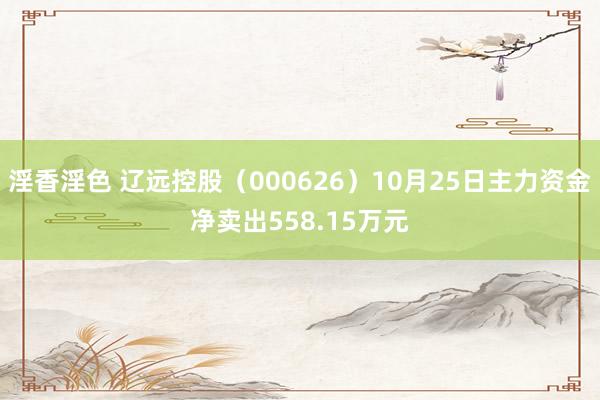淫香淫色 辽远控股（000626）10月25日主力资金净卖出558.15万元