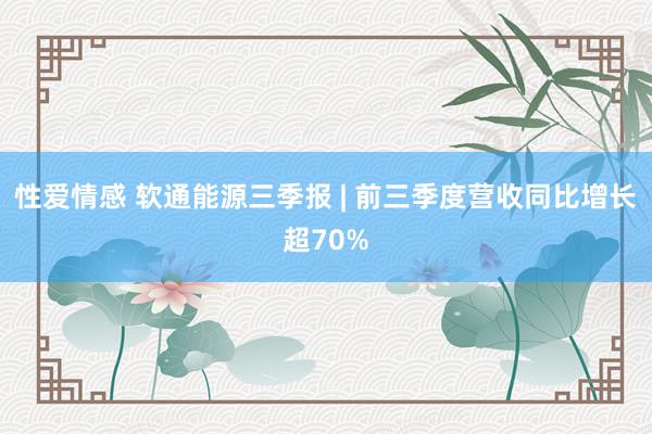 性爱情感 软通能源三季报 | 前三季度营收同比增长超70%