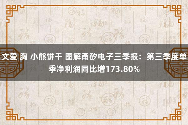 文爱 胸 小熊饼干 图解甬矽电子三季报：第三季度单季净利润同比增173.80%