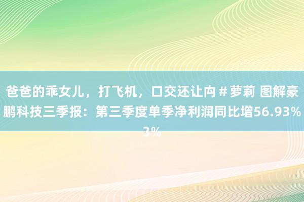 爸爸的乖女儿，打飞机，口交还让禸＃萝莉 图解豪鹏科技三季报：第三季度单季净利润同比增56.93%