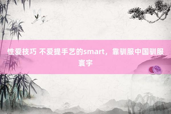 性爱技巧 不爱提手艺的smart，靠驯服中国驯服寰宇