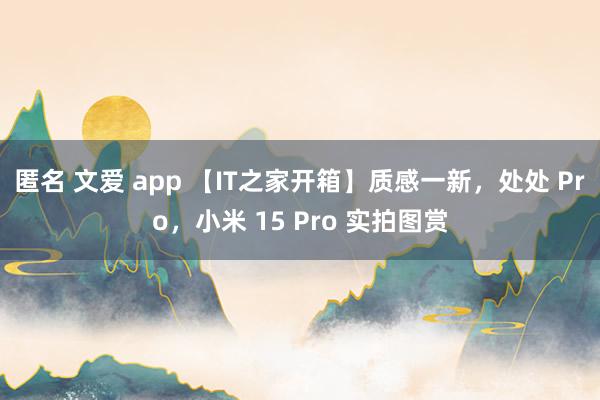匿名 文爱 app 【IT之家开箱】质感一新，处处 Pro，小米 15 Pro 实拍图赏