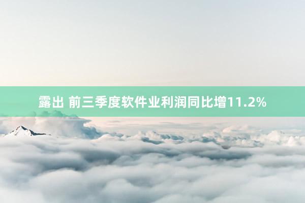 露出 前三季度软件业利润同比增11.2%