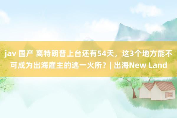 jav 国产 离特朗普上台还有54天，这3个地方能不可成为出海雇主的逃一火所？| 出海New Land