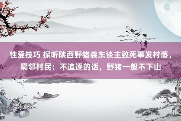 性爱技巧 探听陕西野猪袭东谈主致死事发村落，隔邻村民：不追逐的话，野猪一般不下山