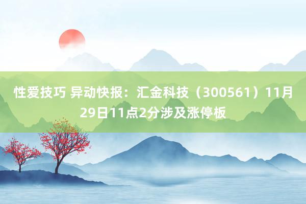 性爱技巧 异动快报：汇金科技（300561）11月29日11点2分涉及涨停板