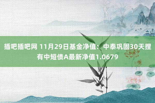 插吧插吧网 11月29日基金净值：中泰巩固30天捏有中短债A最新净值1.0679