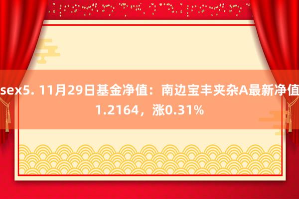 sex5. 11月29日基金净值：南边宝丰夹杂A最新净值1.2164，涨0.31%