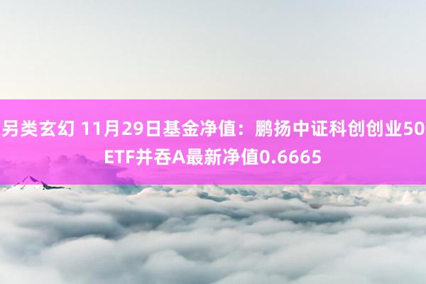 另类玄幻 11月29日基金净值：鹏扬中证科创创业50ETF并吞A最新净值0.6665