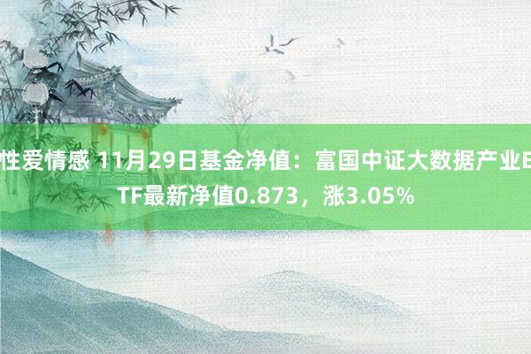性爱情感 11月29日基金净值：富国中证大数据产业ETF最新净值0.873，涨3.05%
