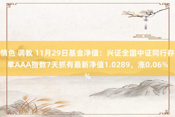 情色 调教 11月29日基金净值：兴证全国中证同行存单AAA指数7天抓有最新净值1.0289，涨0.06%