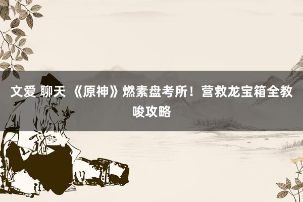 文爱 聊天 《原神》燃素盘考所！营救龙宝箱全教唆攻略