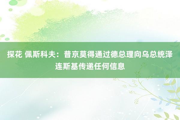 探花 佩斯科夫：普京莫得通过德总理向乌总统泽连斯基传递任何信息