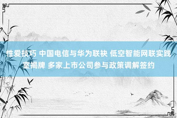 性爱技巧 中国电信与华为联袂 低空智能网联实践室揭牌 多家上市公司参与政策调解签约