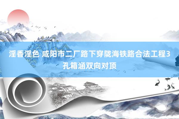 淫香淫色 咸阳市二厂路下穿陇海铁路合法工程3孔箱涵双向对顶