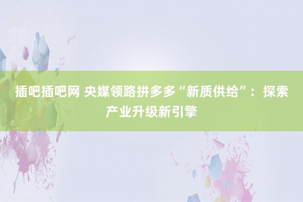 插吧插吧网 央媒领路拼多多“新质供给”：探索产业升级新引擎