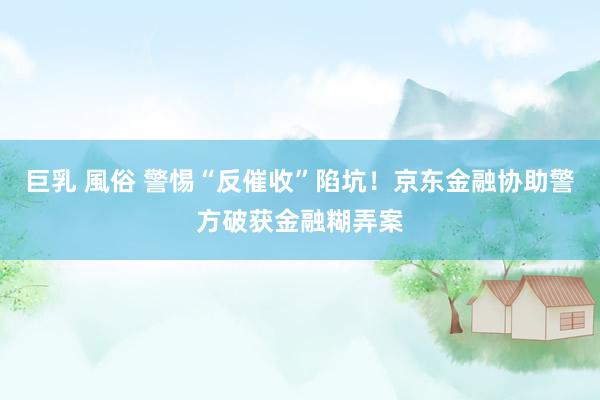 巨乳 風俗 警惕“反催收”陷坑！京东金融协助警方破获金融糊弄案