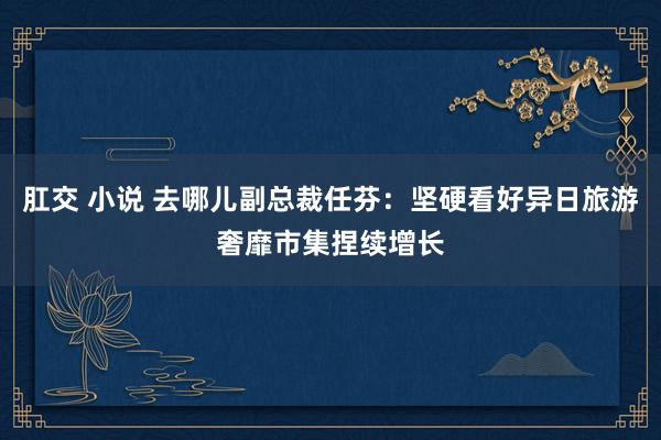 肛交 小说 去哪儿副总裁任芬：坚硬看好异日旅游奢靡市集捏续增长