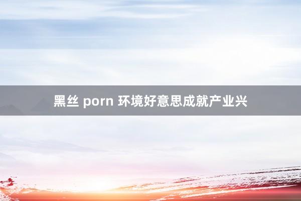 黑丝 porn 环境好意思成就产业兴