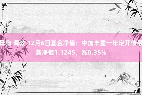 母狗 调教 12月6日基金净值：中加丰盈一年定开债最新净值1.1245，涨0.35%