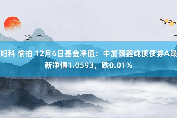 妇科 偷拍 12月6日基金净值：中加颐鑫纯债债券A最新净值1.0593，跌0.01%