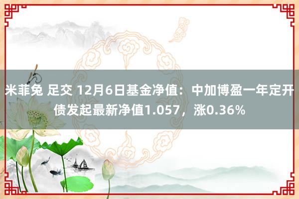 米菲兔 足交 12月6日基金净值：中加博盈一年定开债发起最新净值1.057，涨0.36%