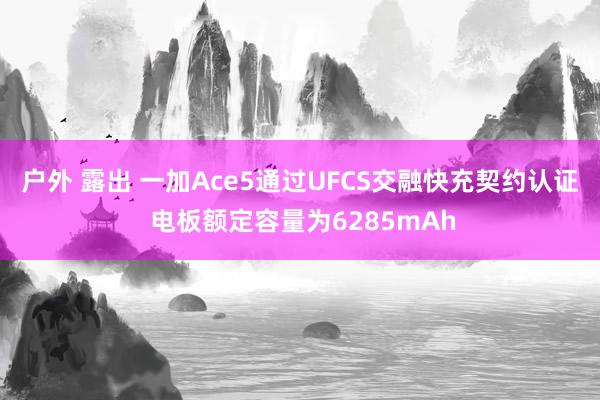 户外 露出 一加Ace5通过UFCS交融快充契约认证 电板额定容量为6285mAh
