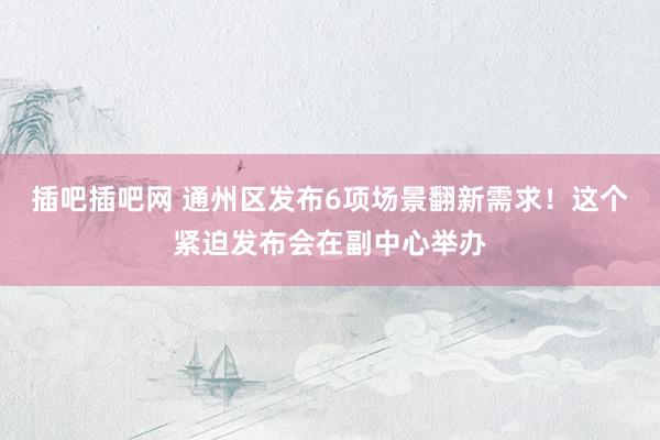 插吧插吧网 通州区发布6项场景翻新需求！这个紧迫发布会在副中心举办