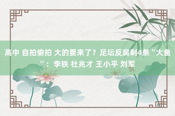 高中 自拍偷拍 大的要来了？足坛反腐剩4条“大鱼”：李铁 杜兆才 王小平 刘军