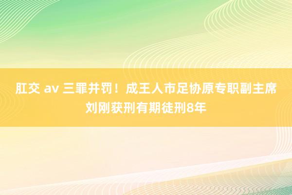 肛交 av 三罪并罚！成王人市足协原专职副主席刘刚获刑有期徒刑8年