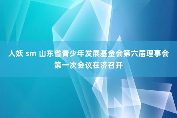 人妖 sm 山东省青少年发展基金会第六届理事会第一次会议在济召开