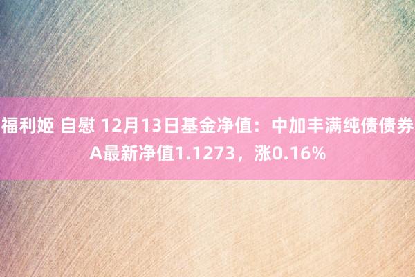 福利姬 自慰 12月13日基金净值：中加丰满纯债债券A最新净值1.1273，涨0.16%