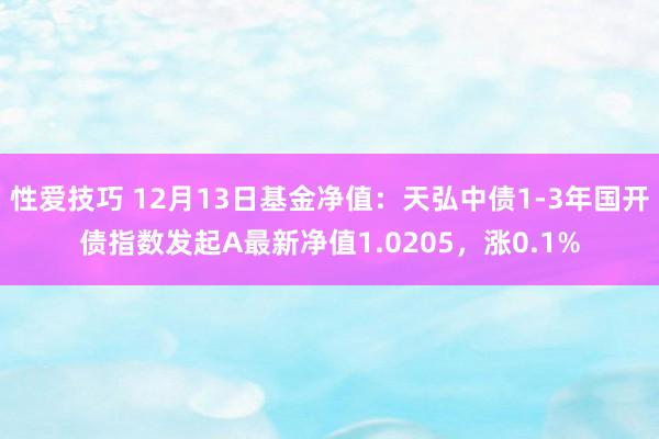 性爱技巧 12月13日基金净值：天弘中债1-3年国开债指数发起A最新净值1.0205，涨0.1%