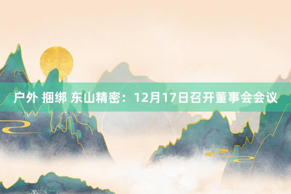 户外 捆绑 东山精密：12月17日召开董事会会议