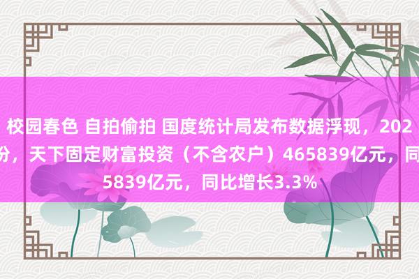 校园春色 自拍偷拍 国度统计局发布数据浮现，2024年1—11月份，天下固定财富投资（不含农户）465839亿元，同比增长3.3%