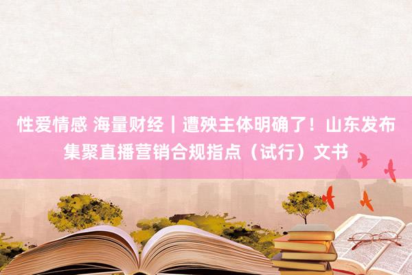 性爱情感 海量财经｜遭殃主体明确了！山东发布集聚直播营销合规指点（试行）文书