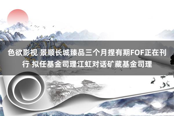色欲影视 景顺长城臻品三个月捏有期FOF正在刊行 拟任基金司理江虹对话矿藏基金司理