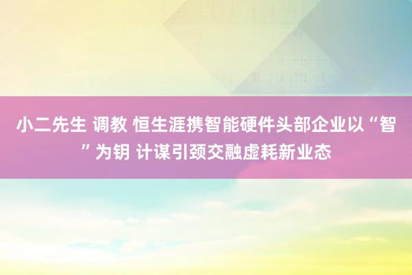 小二先生 调教 恒生涯携智能硬件头部企业以“智”为钥 计谋引颈交融虚耗新业态