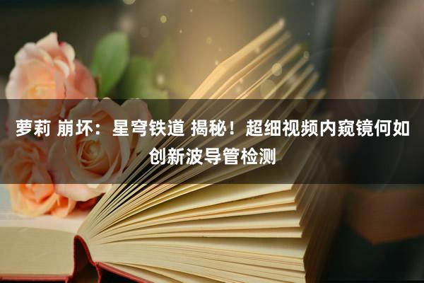 萝莉 崩坏：星穹铁道 揭秘！超细视频内窥镜何如创新波导管检测