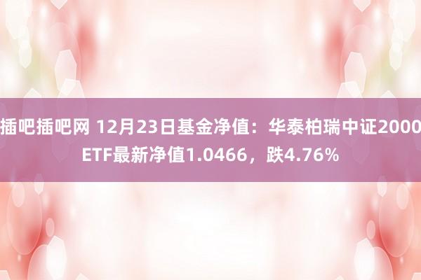 插吧插吧网 12月23日基金净值：华泰柏瑞中证2000ETF最新净值1.0466，跌4.76%