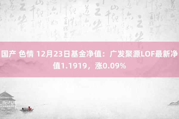 国产 色情 12月23日基金净值：广发聚源LOF最新净值1.1919，涨0.09%