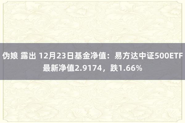 伪娘 露出 12月23日基金净值：易方达中证500ETF最新净值2.9174，跌1.66%